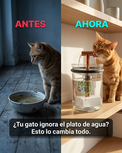 PodGats Modelo M